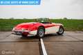 Austin-Healey 100 6 Rot - thumbnail 18