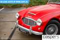 Austin-Healey 100 6 Rot - thumbnail 3