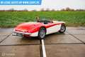 Austin-Healey 100 6 Rot - thumbnail 24