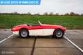 Austin-Healey 100 6 Rot - thumbnail 8