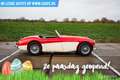 Austin-Healey 100 6 Rojo - thumbnail 8