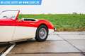 Austin-Healey 100 6 Rot - thumbnail 22