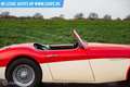 Austin-Healey 100 6 Rot - thumbnail 12