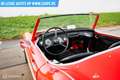 Austin-Healey 100 6 Rot - thumbnail 4