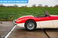 Austin-Healey 100 6 Rot - thumbnail 11