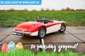 Austin-Healey 100 6 Rojo - thumbnail 24