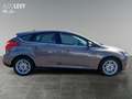 Ford Focus 1.6 Titanium +Navi+Sitzheizung+PDC+Garantie Коричневый - thumbnail 7