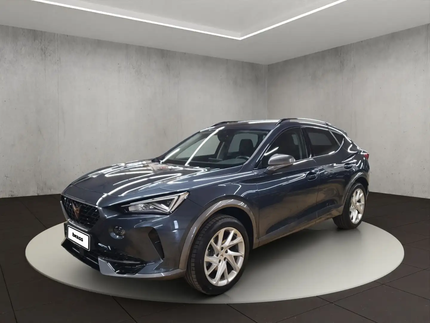 CUPRA Formentor . Gris - 1