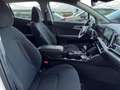 Kia Sportage Sportage 1.6 crdi mhev Business dct Bianco - thumbnail 25