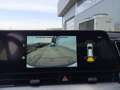Kia Sportage Sportage 1.6 crdi mhev Business dct Bianco - thumbnail 9