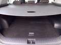 Kia Sportage Sportage 1.6 crdi mhev Business dct Bianco - thumbnail 15