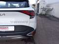Kia Sportage Sportage 1.6 crdi mhev Business dct Bianco - thumbnail 19