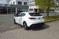 Mazda 3 Exclusive-Line 122PS 6AG NAVI PDC Modell 2024 Weiß - thumbnail 5