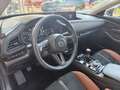 Mazda CX-30 e-Skyactive 2,5 4-Zylinder G140 NAGISA JAHRESWA... Noir - thumbnail 12