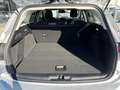 Ford Focus 1,5 EcoBlue Titanium Edition Aut. Silber - thumbnail 14