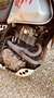 Suzuki DR 600 Djebel - thumbnail 13