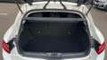 Renault Megane 1.5 Blue dCi 115ch Business - thumbnail 14