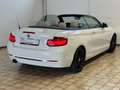 BMW 220 2 Cabrio 220 i Sport Line Aut. Navi Leder LED Blanc - thumbnail 6
