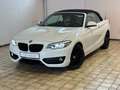 BMW 220 2 Cabrio 220 i Sport Line Aut. Navi Leder LED Blanc - thumbnail 1
