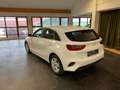 Kia Ceed / cee'd Vision Blanc - thumbnail 3