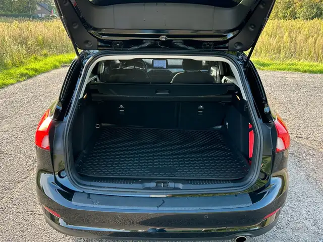 Ford Focus view 19