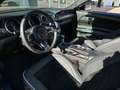 Ford Mustang 2,3l EcoBoost **AUTOMATIK / KAMERA / ALCANTARA** Rouge - thumbnail 10