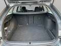 Skoda Octavia Combi Selection 2.0 TDI DSG Grau - thumbnail 14