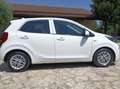 Kia Picanto Picanto 1.0 dpi Urban amt Bianco - thumbnail 4