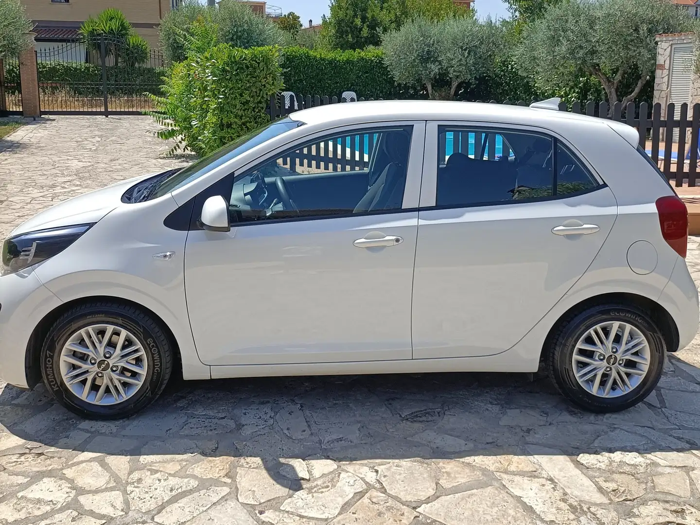 Kia Picanto Picanto 1.0 dpi Urban amt Bianco - 1