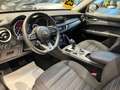 Alfa Romeo Stelvio Stelvio 2.2 t Business 160cv auto Rosso - thumbnail 5