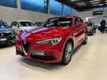 Alfa Romeo Stelvio Stelvio 2.2 t Business 160cv auto Rosso - thumbnail 1