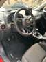 Mazda 2 2 III 2020 1.5 Homura 75cv Rosso - thumbnail 10