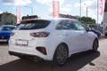 Kia Ceed / cee'd Ceed 1.6 T-GDI GT LED Navi ACC Leder Kamera DAB Weiß - thumbnail 3