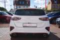 Kia Ceed / cee'd Ceed 1.6 T-GDI GT LED Navi ACC Leder Kamera DAB Weiß - thumbnail 4