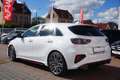 Kia Ceed / cee'd Ceed 1.6 T-GDI GT LED Navi ACC Leder Kamera DAB Weiß - thumbnail 5