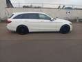 Mercedes-Benz C 250 C 250 T BlueTec / d (205.208) Blanc - thumbnail 12