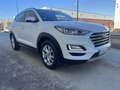 Hyundai TUCSON 1.6CRDI 48V SLE 4x2 Blanco - thumbnail 27