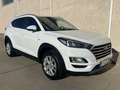 Hyundai TUCSON 1.6CRDI 48V SLE 4x2 Blanco - thumbnail 11