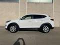 Hyundai TUCSON 1.6CRDI 48V SLE 4x2 Blanco - thumbnail 3