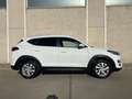 Hyundai TUCSON 1.6CRDI 48V SLE 4x2 Blanco - thumbnail 8