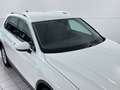 Volkswagen Tiguan Tiguan 2.0 tdi Business 4motion 150cv Blanc - thumbnail 8