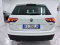 Volkswagen Tiguan Tiguan 2.0 tdi Business 4motion 150cv Blanc - thumbnail 12
