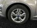 Ford C-Max 1.6 EcoBoost Sync Edition Fernlichtass. LM Marrone - thumbnail 15