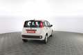 Fiat Panda 1.2 EasyPower Lounge Beige - thumbnail 4