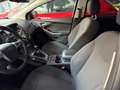 Ford Focus Titanium Bleu - thumbnail 9