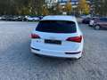 Audi SQ5 AUDI SQ5 3.0 TDIquattroKLIMAAUTOMATIK!SITZHEIZUNG Blanc - thumbnail 10