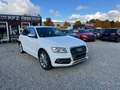 Audi SQ5 AUDI SQ5 3.0 TDIquattroKLIMAAUTOMATIK!SITZHEIZUNG Blanc - thumbnail 5