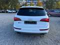 Audi SQ5 AUDI SQ5 3.0 TDIquattroKLIMAAUTOMATIK!SITZHEIZUNG Blanc - thumbnail 11