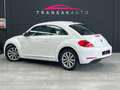 Volkswagen Coccinelle Color Blanc - thumbnail 2