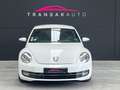 Volkswagen Coccinelle Color Blanc - thumbnail 3